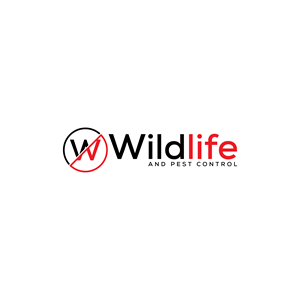 Logo Design by TalhaShaikh 12 for this project | Design #28554697