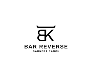 Logo Design by AXiDesign