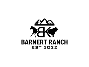 Logo Design by BNdesigner for Foothills Hearing Centre | Design: #28564635