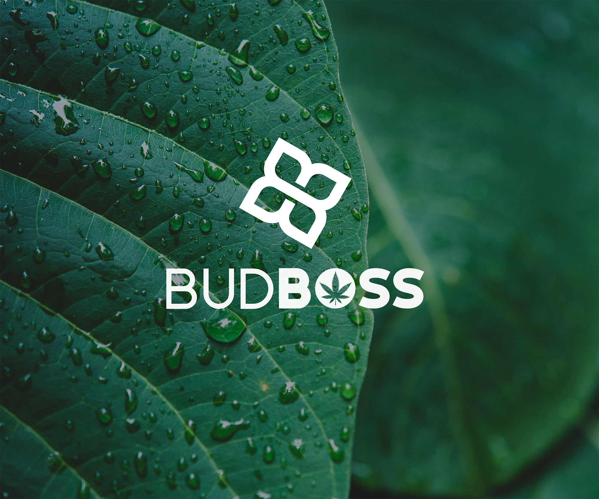 Logo and Business Card Design by dennisdesigns for this project | Design #28565591