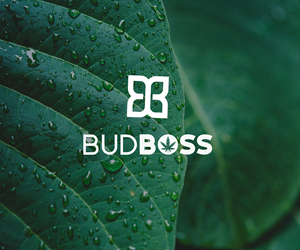 Logo and Business Card Design by dennisdesigns for this project | Design: #28566018