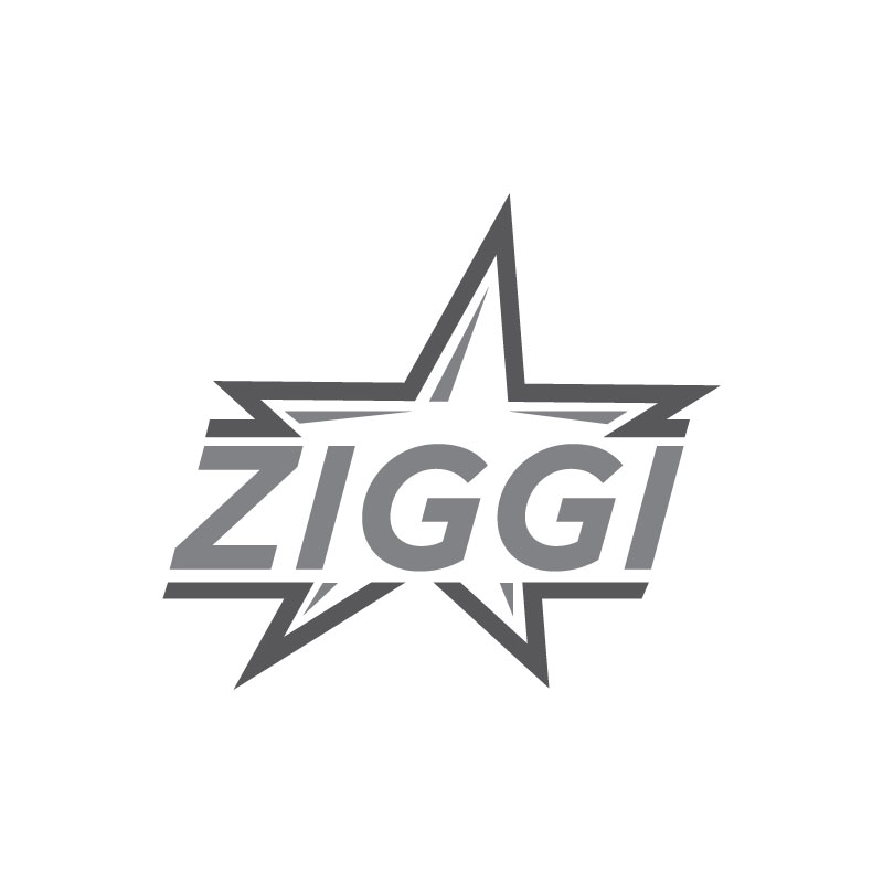 Logo Design by Ansh Design for this project | Design #28556964