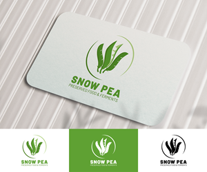 Logo Design by Julio Pastore