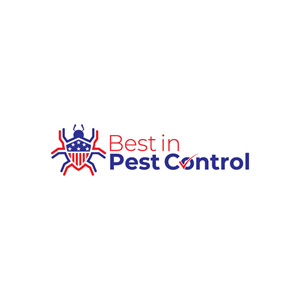 Logo Design by Ansh Design for this project | Design: #28574354