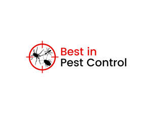 Logo Design by BNdesigner for this project | Design: #28569037