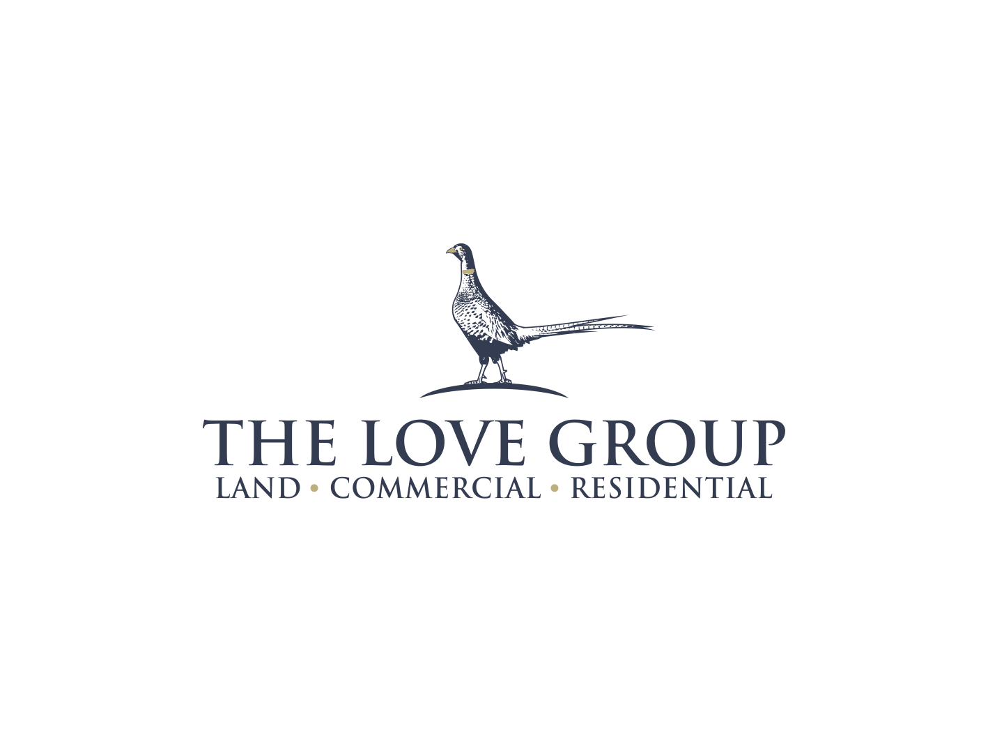 Diseño de Logo por BNdesigner para este proyecto | Diseño #28568127