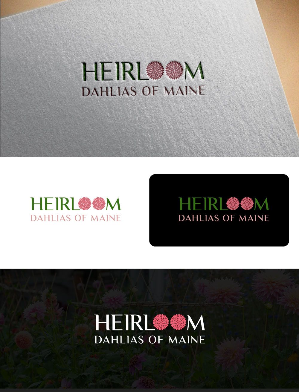 Logo Design by Mi Design1 for this project | Design #28571087