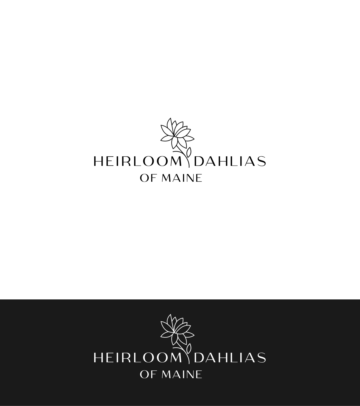 Diseño de Logo por ecorokerz para este proyecto | Diseño #28571462