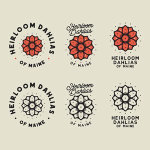 Logo-Design von Noxymls für dieses Projekt | Design #28575755