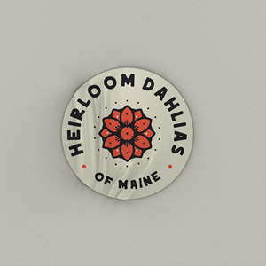 Logo Design by Noxymls for this project | Design: #28580154