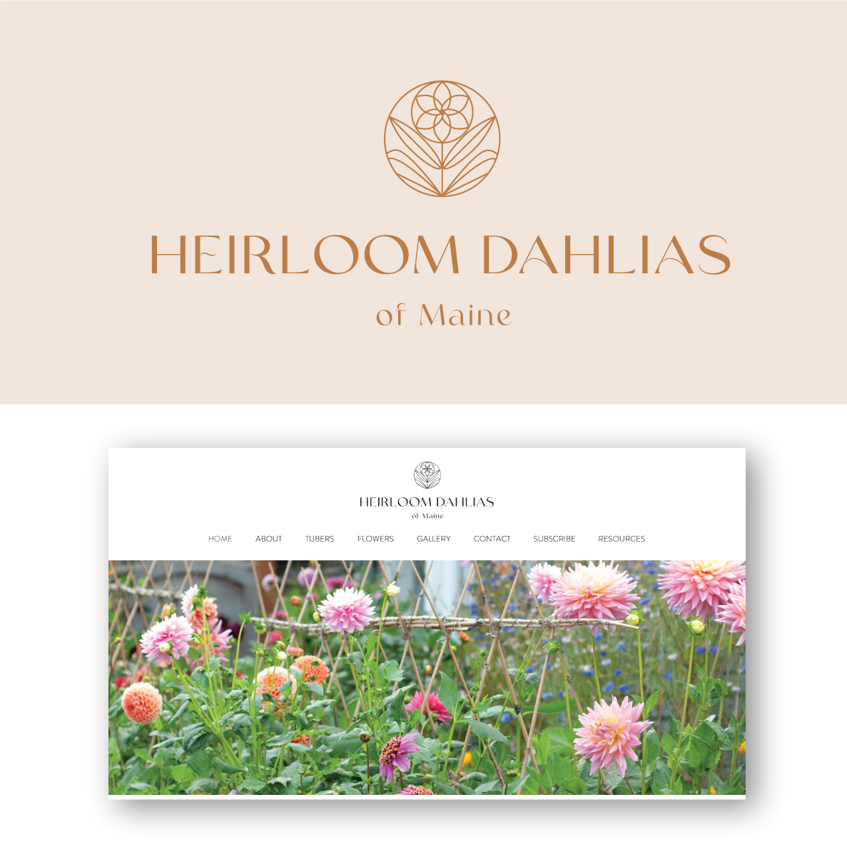Design de Logo par Kimh pour ce projet | Design : #28571224