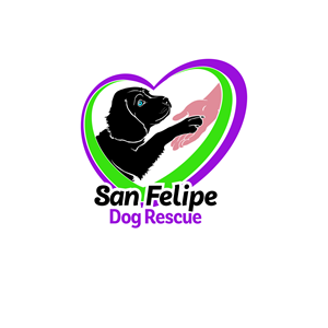 Logo Design by borzoid for this project | Design: #28586961
