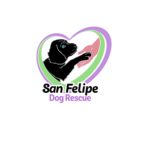 Logo Design by borzoid for this project | Design: #28600749
