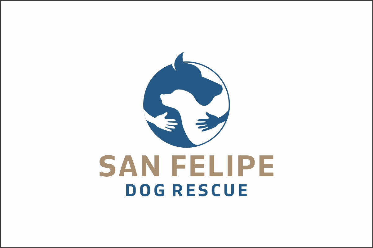 Logo Design by Robert Macwan for this project | Design #28604681