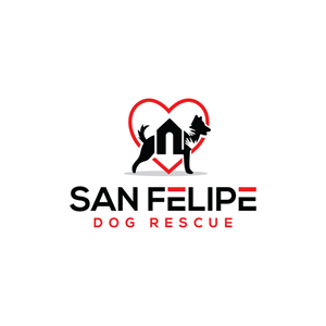 Logo Design by Ansh Design for this project | Design: #28579772
