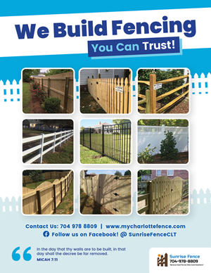 Flyer Design by ashville for BethLocalSEO | Design: #28580998