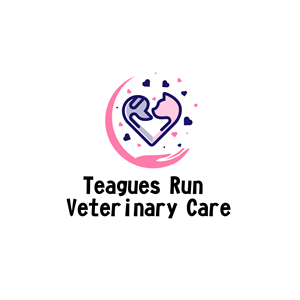 Logo Design by khizar_911