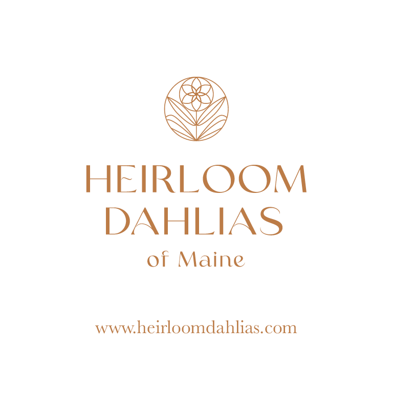 Business Card Design by Kimh for this project | Design #28579232