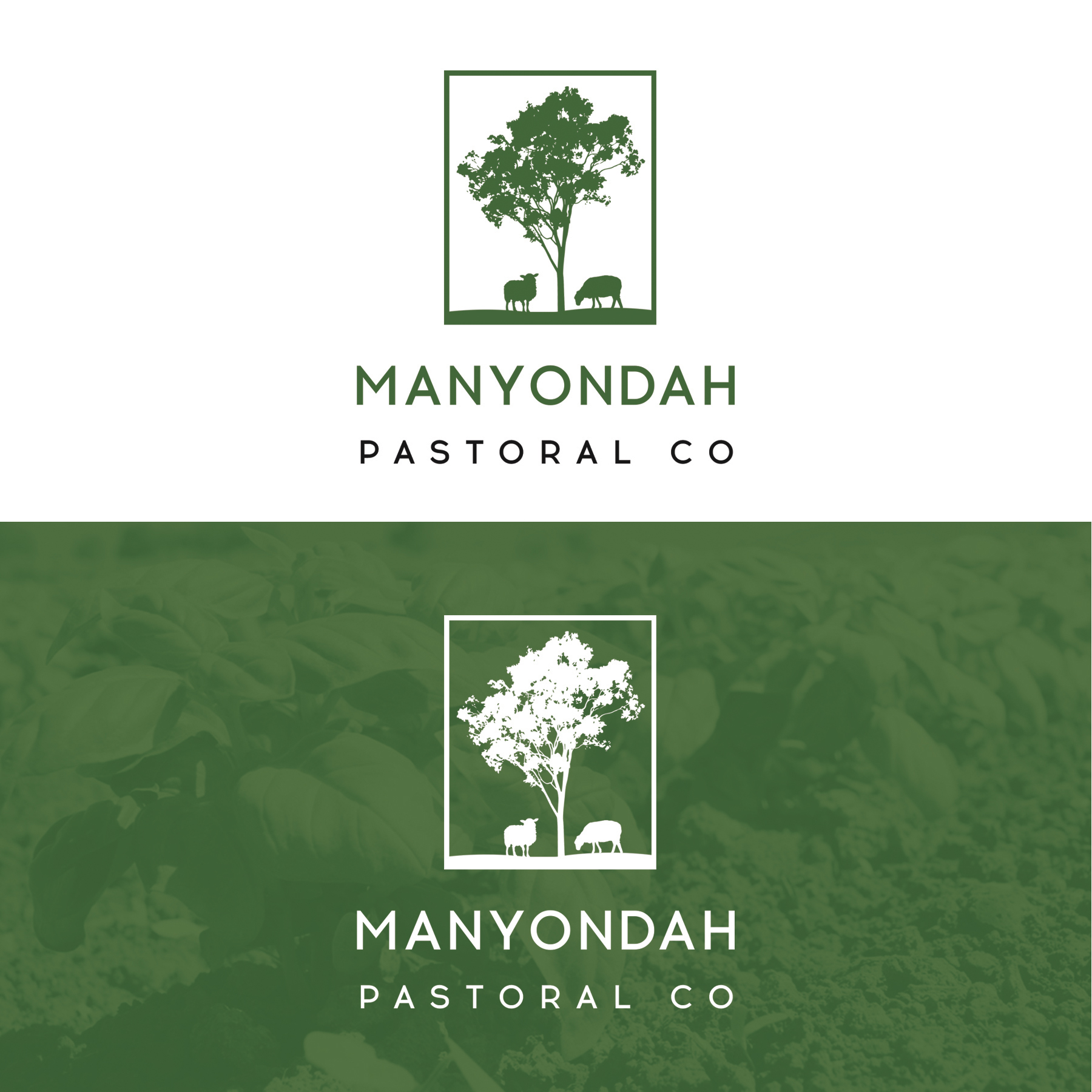 Design de Logo par Neelam Jahagirdar pour ce projet | Design #28586068