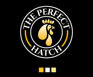 Logo Design by UN for this project | Design: #28604213