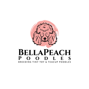 Logo Design by LAXMI DESIGNHUB for Doyle Hewett Enterprises Pty Ltd | Design: #28590842