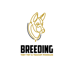 Logo Design by khizar_911