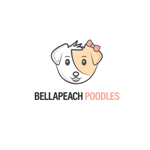 Design de Logo par khizar_911 pour Doyle Hewett Enterprises Pty Ltd | Design : #28591083