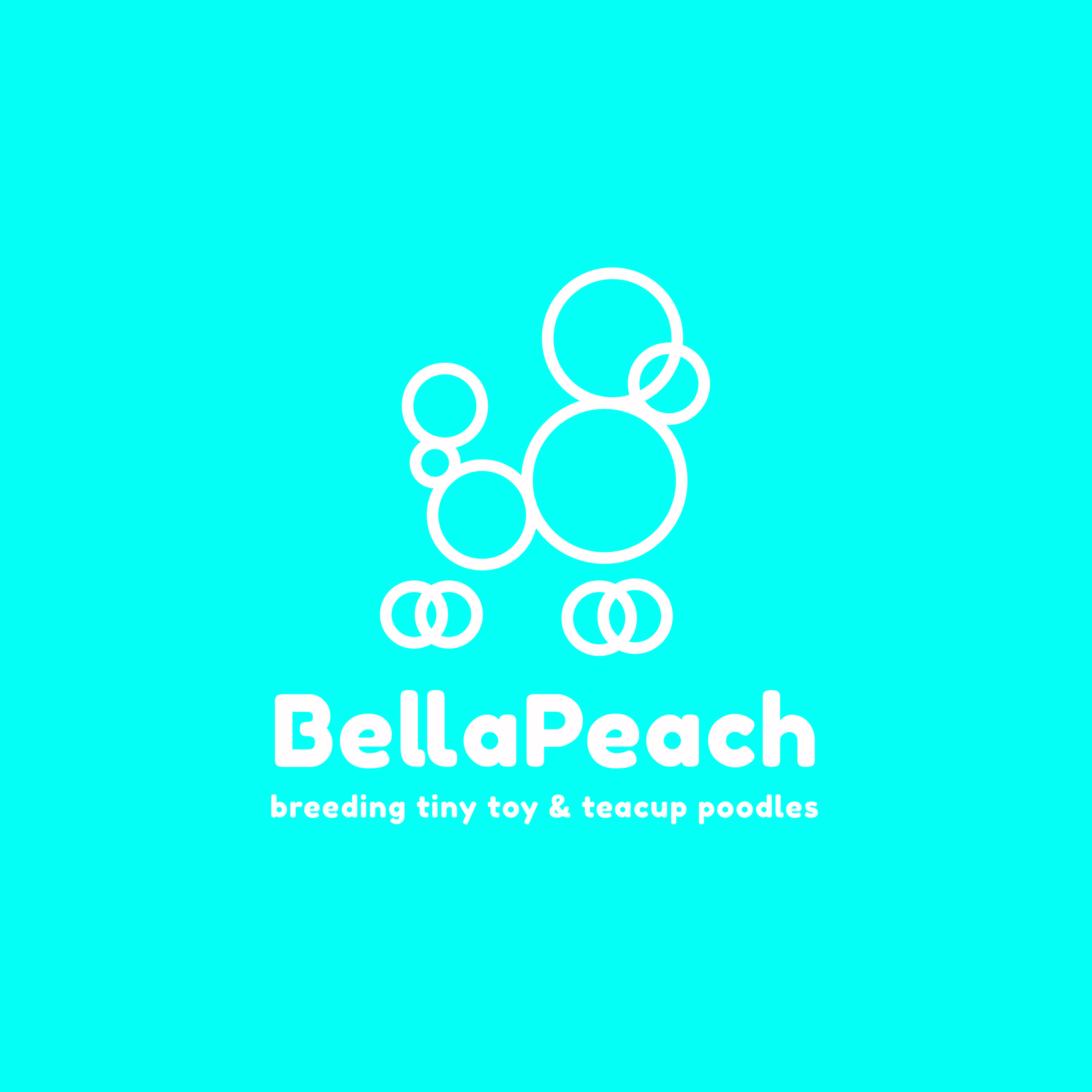 Logo Design by RM for Doyle Hewett Enterprises Pty Ltd | Design #28589407