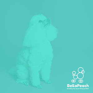 Design de Logo par RM pour Doyle Hewett Enterprises Pty Ltd | Design : #28589408