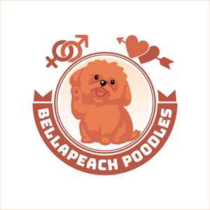 Design de Logo par QYdesigns pour Doyle Hewett Enterprises Pty Ltd | Design : #28603929