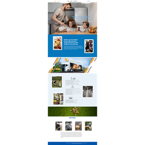 Web Design by dibril