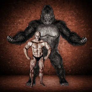 Graphic Design by graphicdesk.info for this project | Design: #28631742