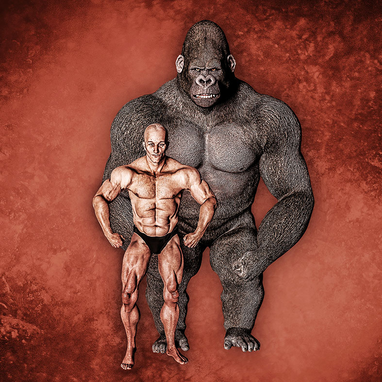 Graphic Design by graphicdesk.info for this project | Design #28631747