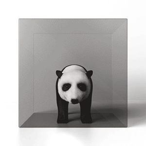 Panda in a spinning cube | Design 3D par hover