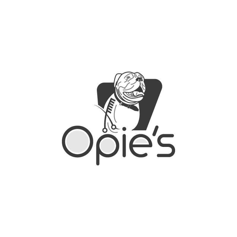 Diseño de Logo por Ansh Design para este proyecto | Diseño #28600704