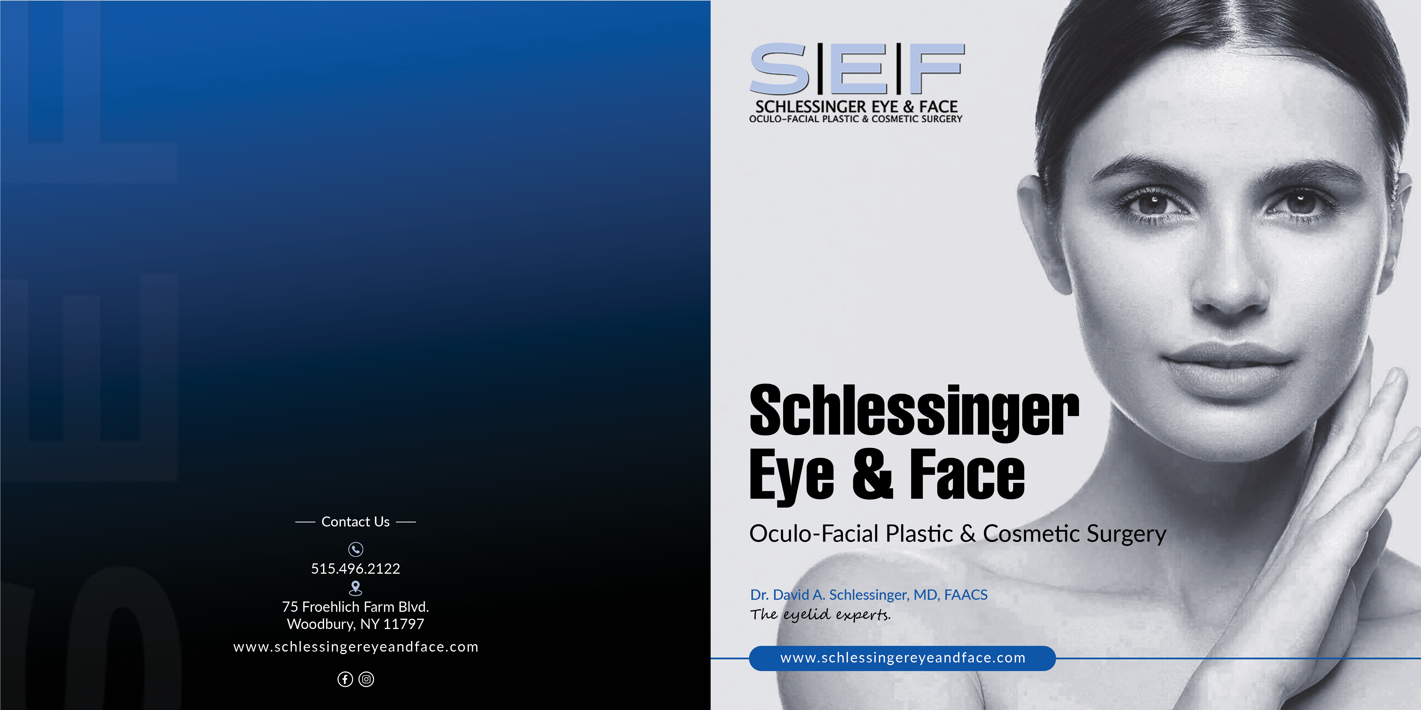 Brochure Design by AABee's Design Studio for this project | Design #28613533