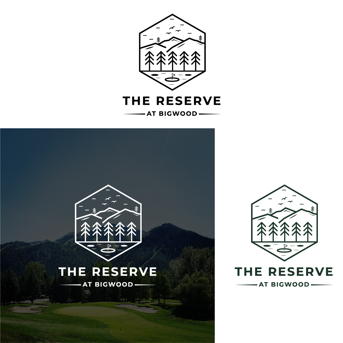 Design de Logo par Hom pour ce projet | Design #28630829