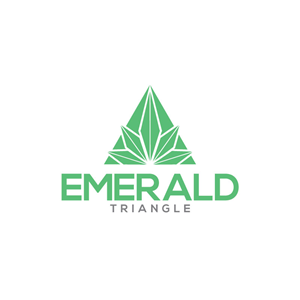 Logo Design by Ansh Design for this project | Design: #28600176
