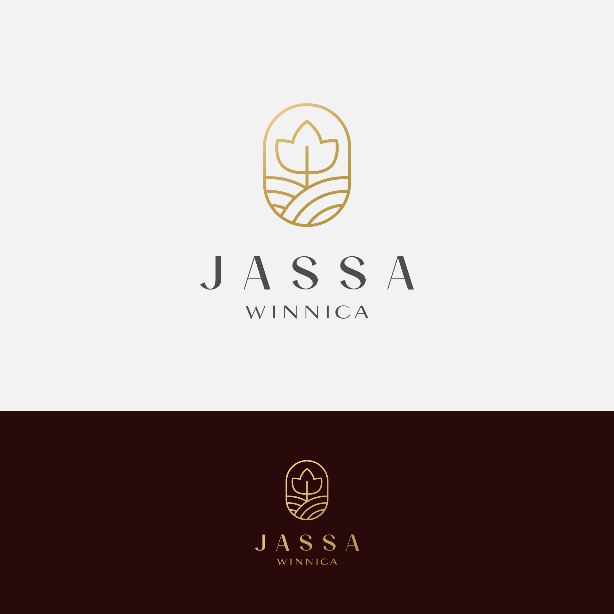 Logo Design by Peroni for Inter Point Ilona Jassa | Design #28638191