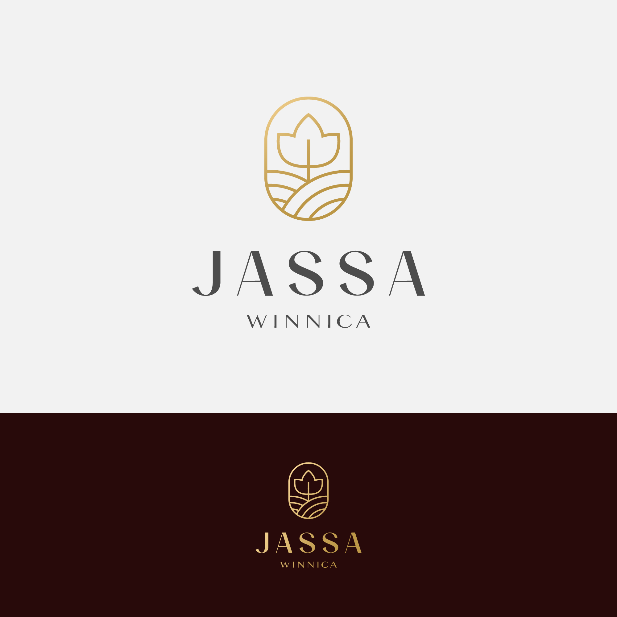 Logo Design by Peroni for Inter Point Ilona Jassa | Design #28638192