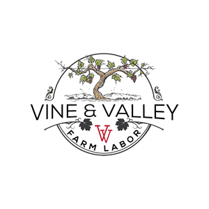 Vine & Valley Farm Labor | Logo Design by Isabella...