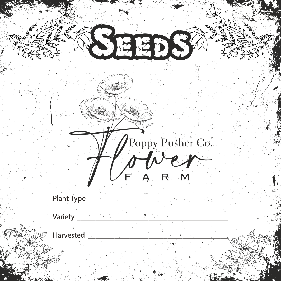 Schreibwaren-Design von Petter Goms für dieses Projekt | Design #28610622