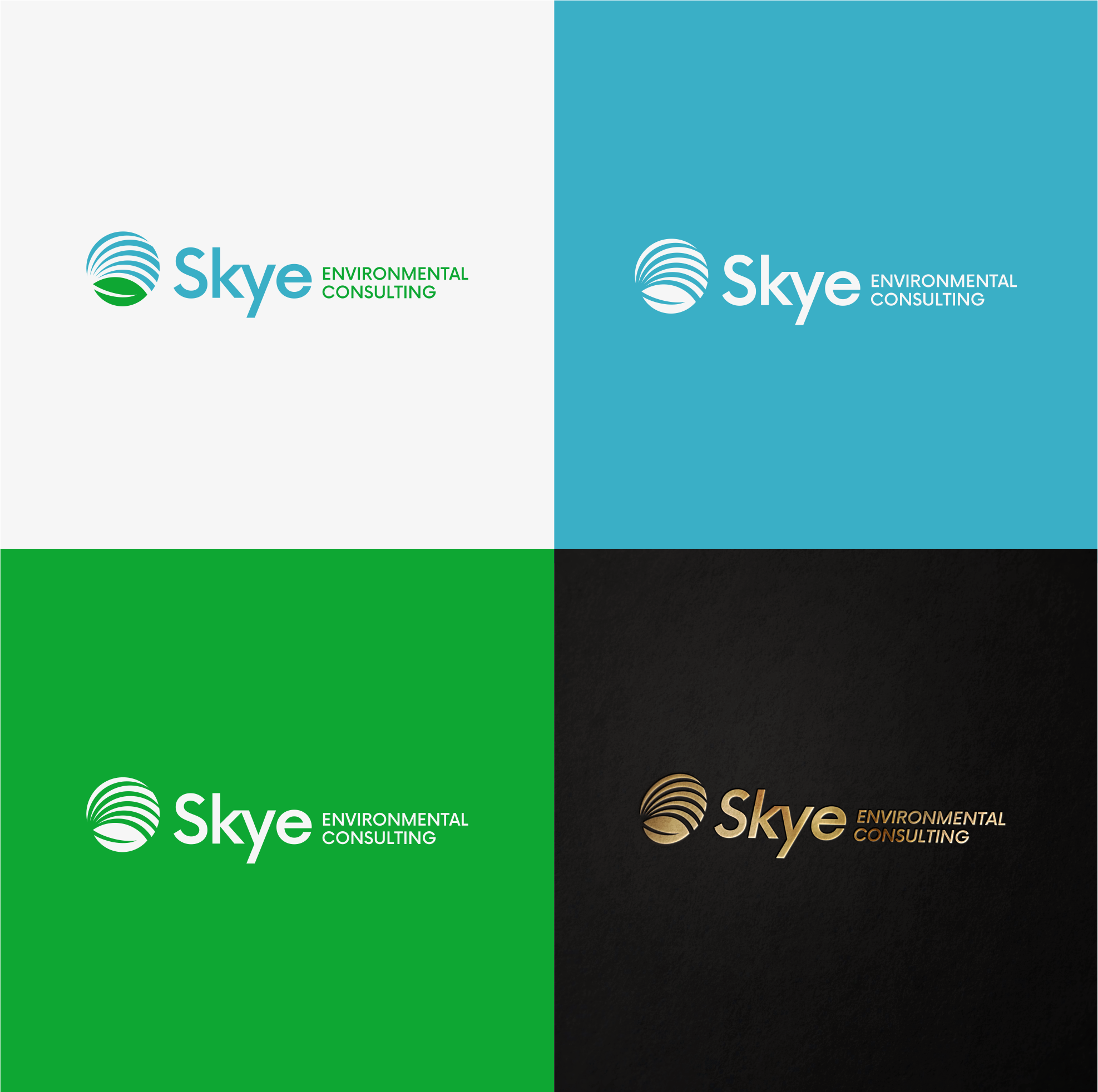 Logo Design by R!CKY for Skye Environmental Consulting | Design #28646725