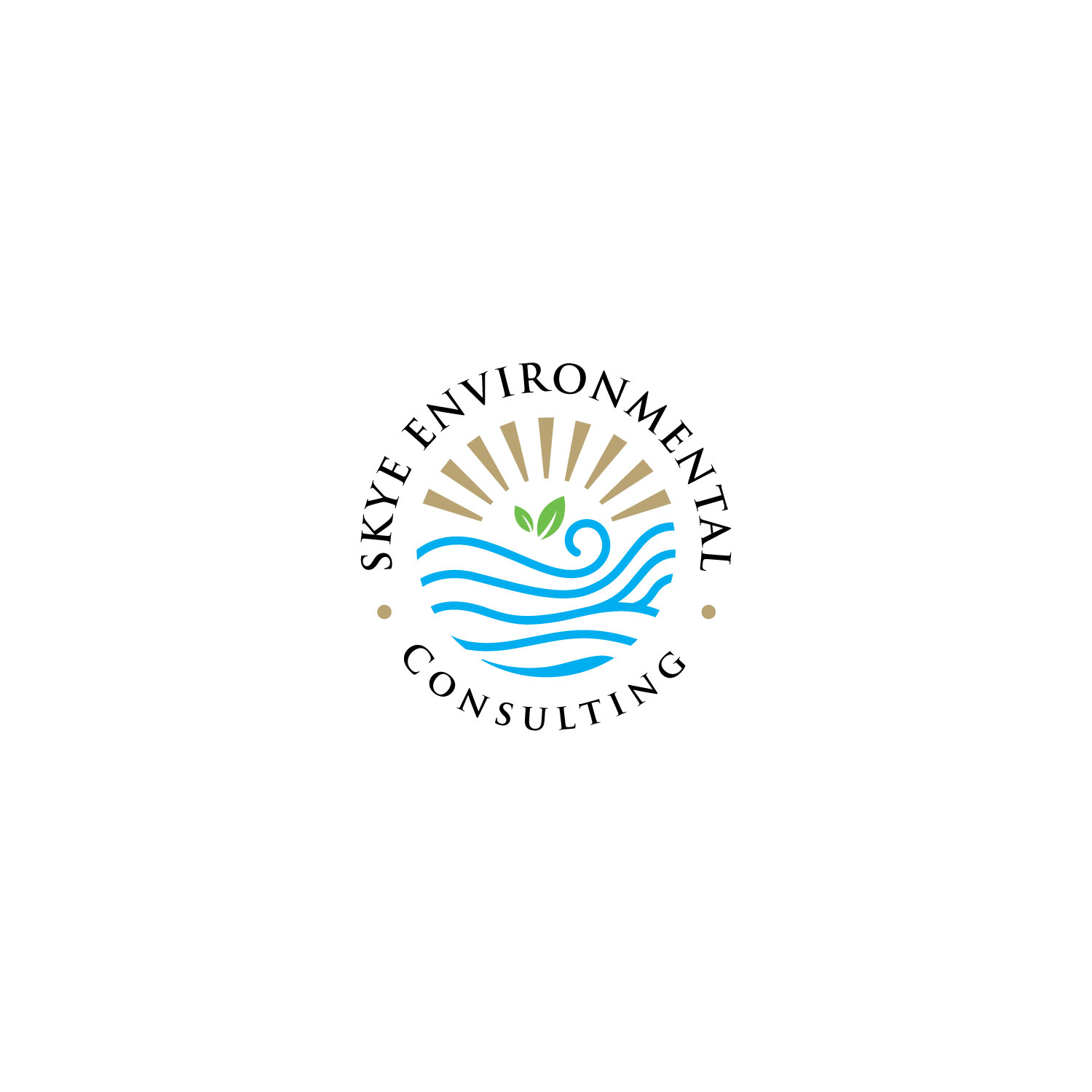 Design de Logo par LAXMI DESIGNHUB pour Skye Environmental Consulting | Design #28613454