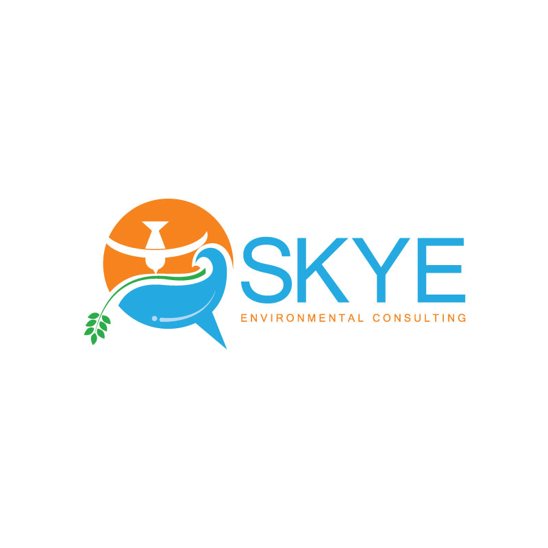 Logo Design by Ansh Design for Skye Environmental Consulting | Design #28614746