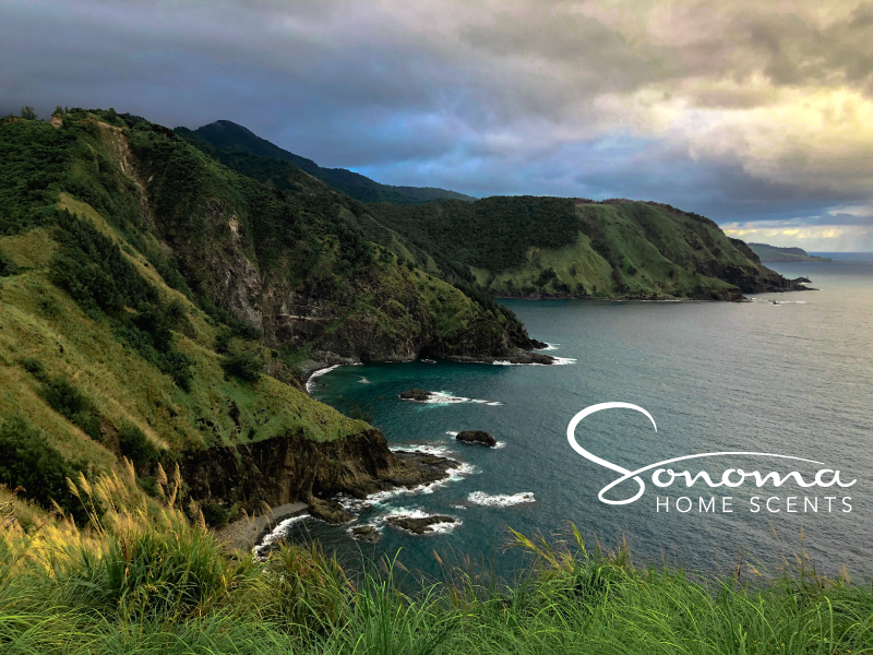 Logo Design by aree for this project | Design #28618468