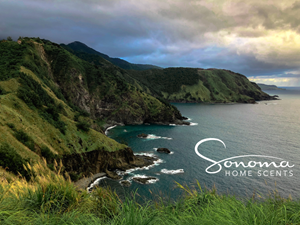 Logo-Design von aree für dieses Projekt | Design: #28618468