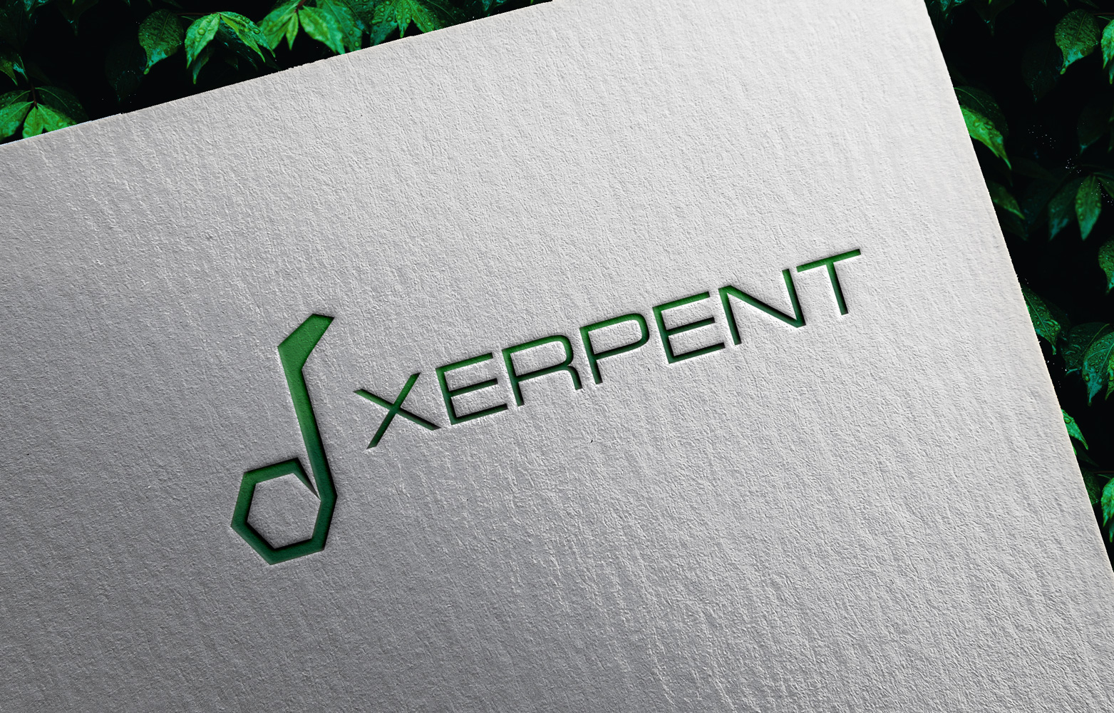 Diseño de Logo por Locke+ para este proyecto | Diseño #28615825