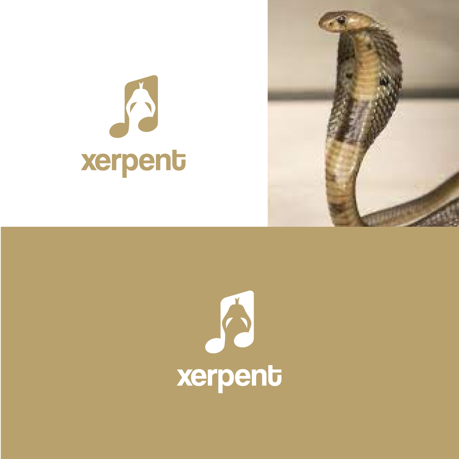 Diseño de Logo por Abdul 20 para este proyecto | Diseño #28613211