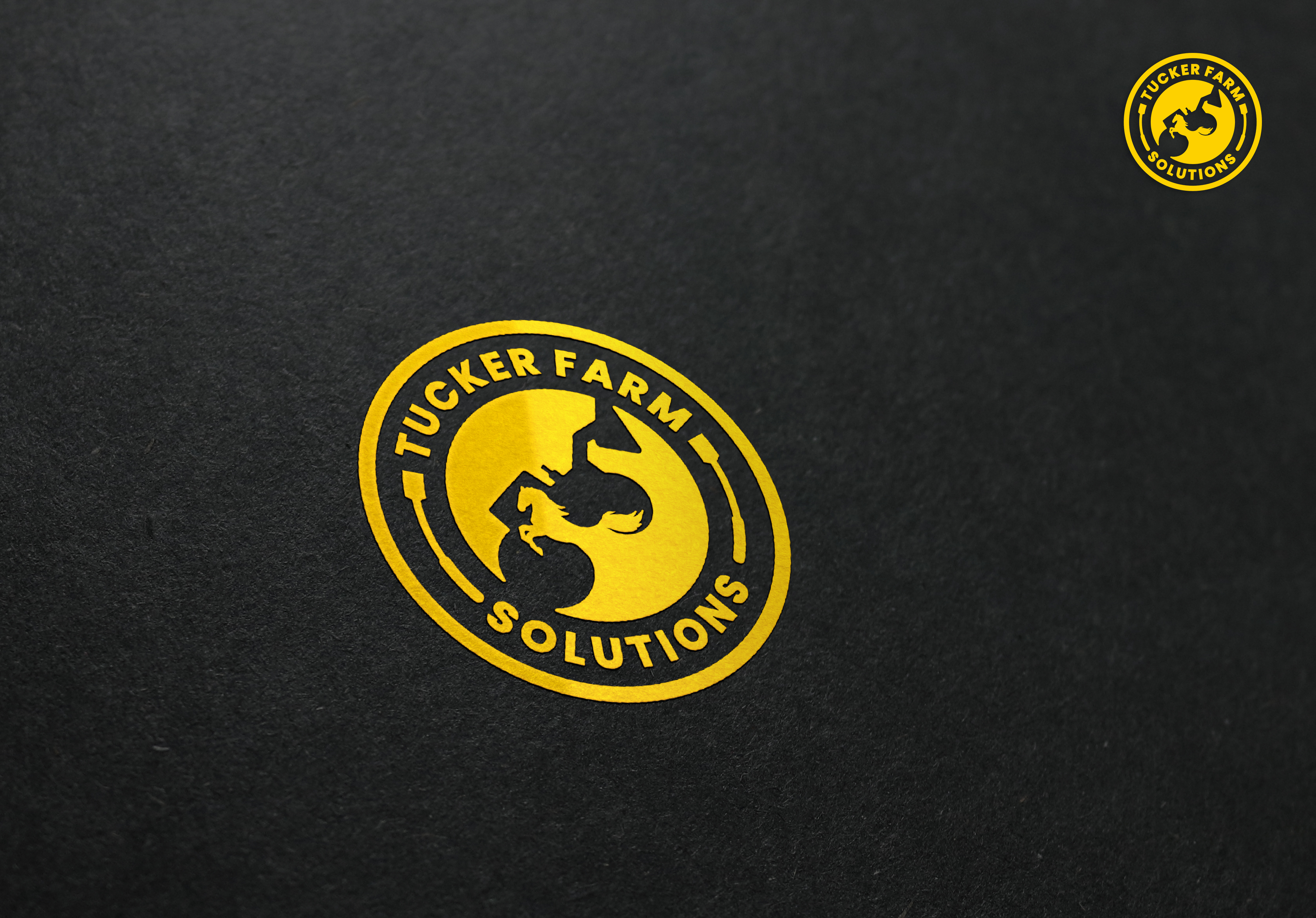 Design de Logo par aquabomb26 pour Tucker Farm Solutions  | Design #28613497